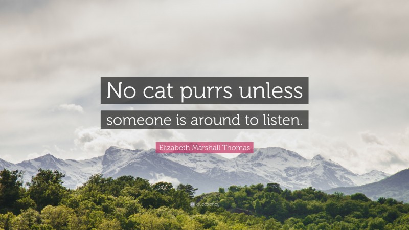 Elizabeth Marshall Thomas Quote: “No cat purrs unless someone is around to listen.”