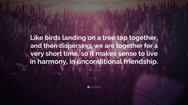 Bokar Rinpoche Quote: “Like birds landing on a tree top together, and then dispersing, we are together for a very short time, so it makes sense to live in harmony, in unconditional friendship.”
