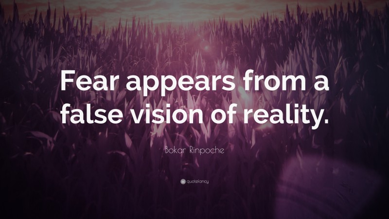 Bokar Rinpoche Quote: “Fear appears from a false vision of reality.”
