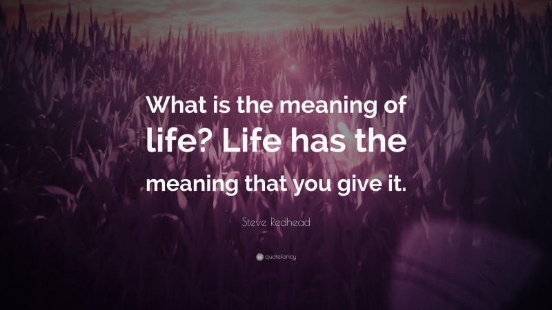 Steve Redhead Quote: “What is the meaning of life? Life has the meaning that you give it.”