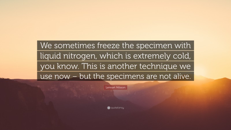Lennart Nilsson Quote: “We sometimes freeze the specimen with liquid nitrogen, which is extremely cold, you know. This is another technique we use now – but the specimens are not alive.”