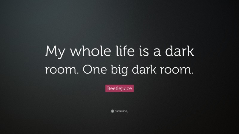 Beetlejuice Quote: “My whole life is a dark room. One big dark room.”