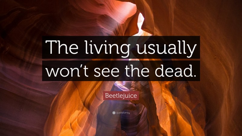 Beetlejuice Quote: “The living usually won’t see the dead.”