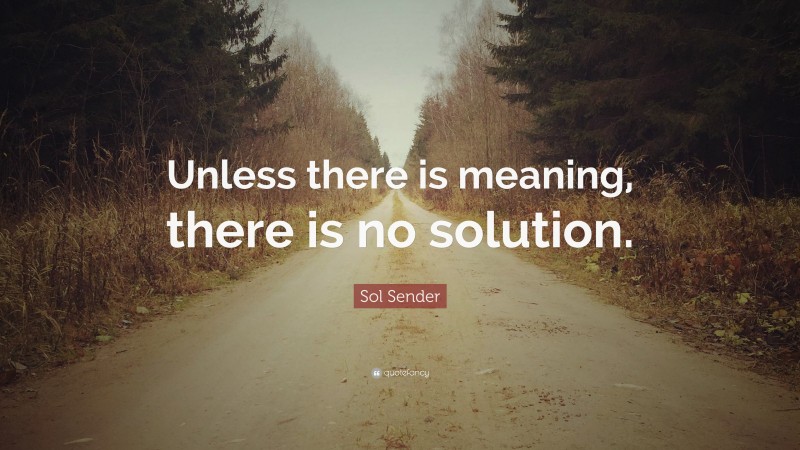 Sol Sender Quote: “Unless there is meaning, there is no solution.”