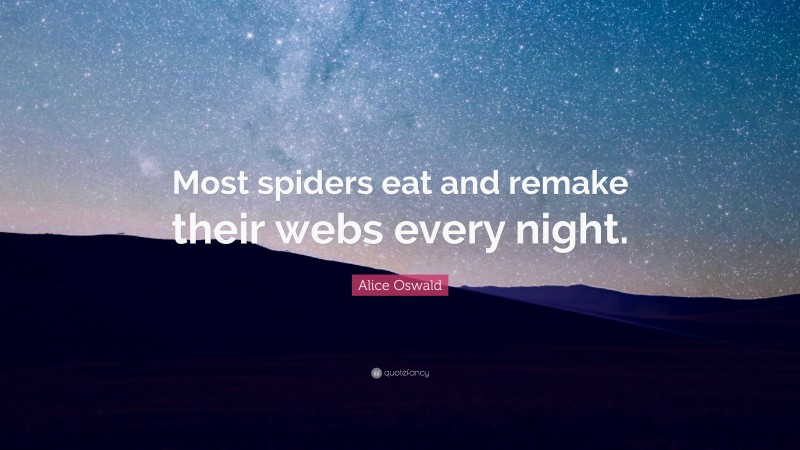 Alice Oswald Quote: “Most spiders eat and remake their webs every night.”