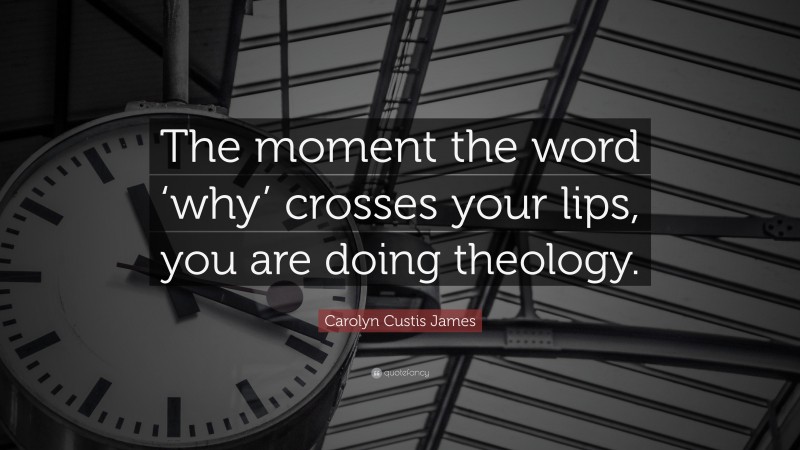 Carolyn Custis James Quote: “The moment the word ‘why’ crosses your lips, you are doing theology.”