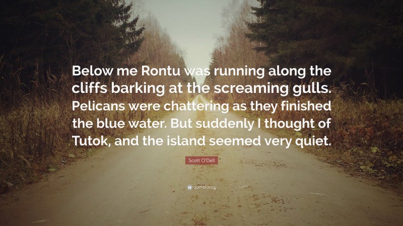 Scott O'Dell Quote: “Below me Rontu was running along the cliffs barking at the screaming gulls. Pelicans were chattering as they finished the blue water. But suddenly I thought of Tutok, and the island seemed very quiet.”