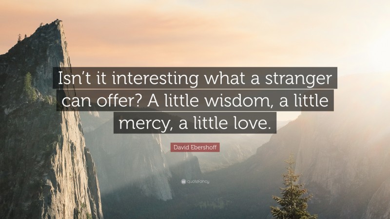 David Ebershoff Quote: “Isn’t it interesting what a stranger can offer? A little wisdom, a little mercy, a little love.”