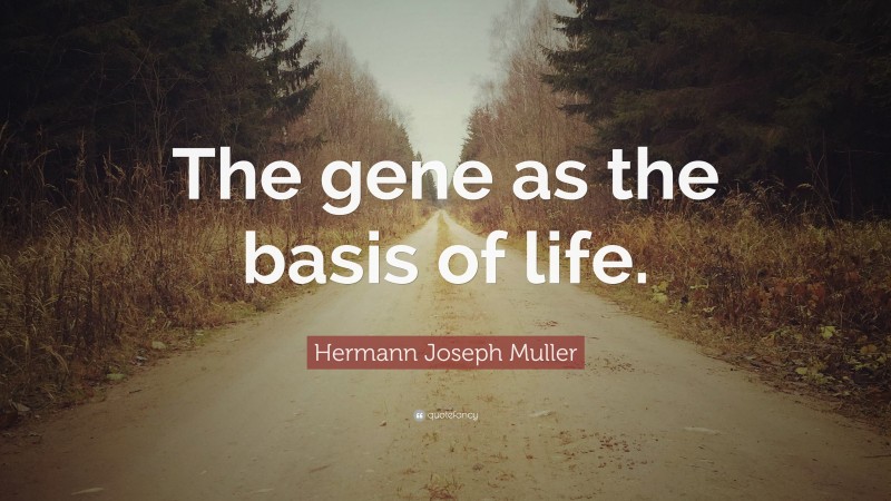 Hermann Joseph Muller Quote: “The gene as the basis of life.”