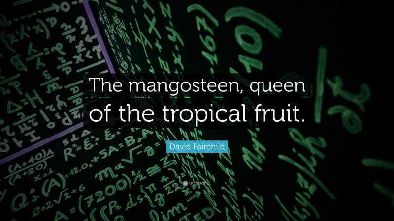 David Fairchild Quote: “The mangosteen, queen of the tropical fruit.”