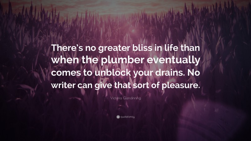 Victoria Glendinning Quote: “There’s no greater bliss in life than when the plumber eventually comes to unblock your drains. No writer can give that sort of pleasure.”