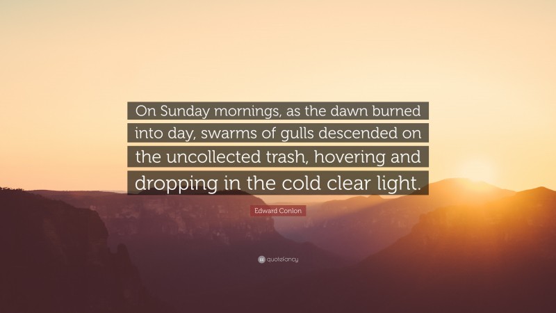 Edward Conlon Quote: “On Sunday mornings, as the dawn burned into day, swarms of gulls descended on the uncollected trash, hovering and dropping in the cold clear light.”