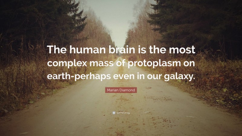 Marian Diamond Quote: “The human brain is the most complex mass of protoplasm on earth-perhaps even in our galaxy.”