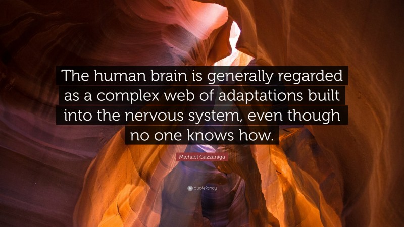 Michael Gazzaniga Quote: “The human brain is generally regarded as a complex web of adaptations built into the nervous system, even though no one knows how.”