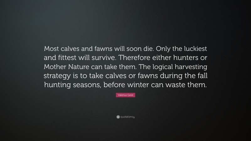 Valerius Geist Quote: “Most calves and fawns will soon die. Only the luckiest and fittest will survive. Therefore either hunters or Mother Nature can take them. The logical harvesting strategy is to take calves or fawns during the fall hunting seasons, before winter can waste them.”