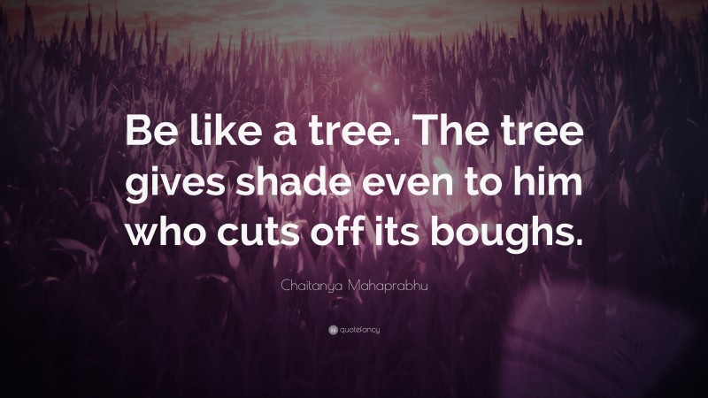 Chaitanya Mahaprabhu Quote: “Be like a tree. The tree gives shade even to him who cuts off its boughs.”