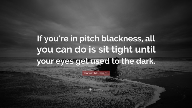 Haruki Murakami Quote: “If you’re in pitch blackness, all you can do is sit tight until your eyes get used to the dark.”