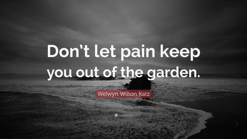 Welwyn Wilton Katz Quote: “Don’t let pain keep you out of the garden.”