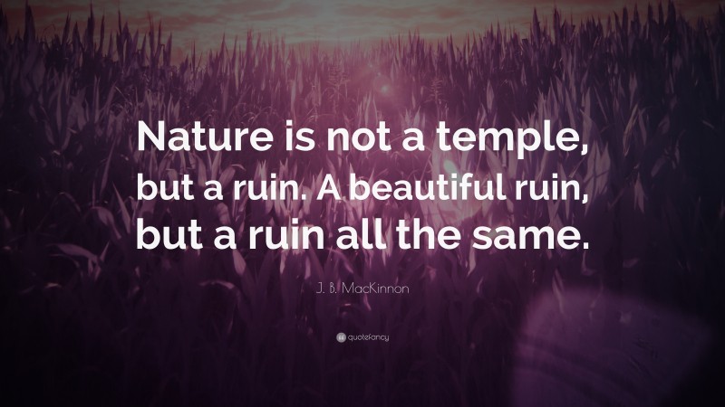 J. B. MacKinnon Quote: “Nature is not a temple, but a ruin. A beautiful ruin, but a ruin all the same.”