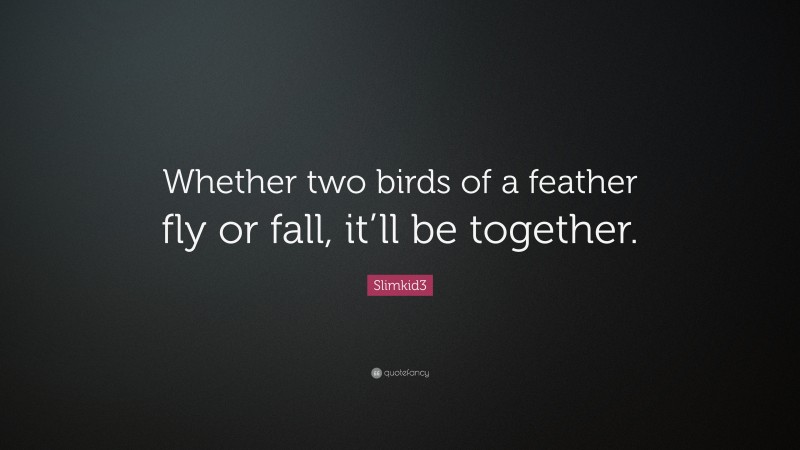Slimkid3 Quote: “Whether two birds of a feather fly or fall, it’ll be together.”