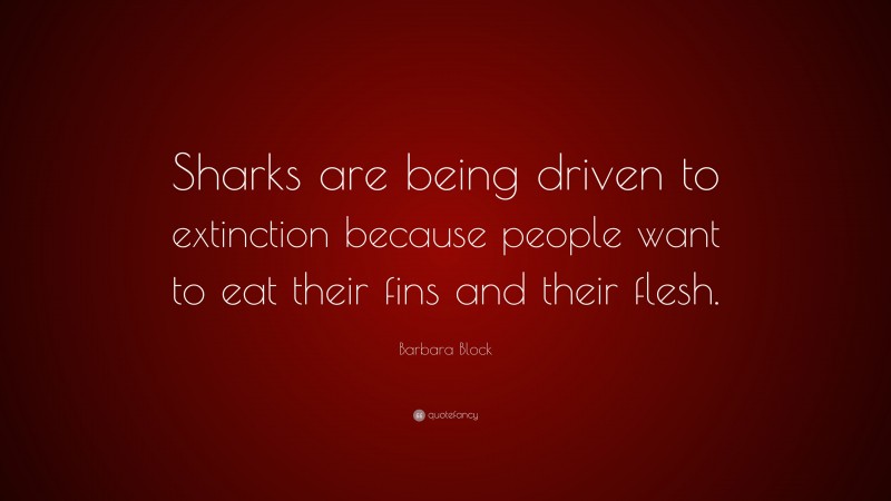 Barbara Block Quote: “Sharks are being driven to extinction because people want to eat their fins and their flesh.”