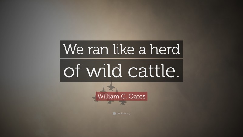 William C. Oates Quote: “We ran like a herd of wild cattle.”