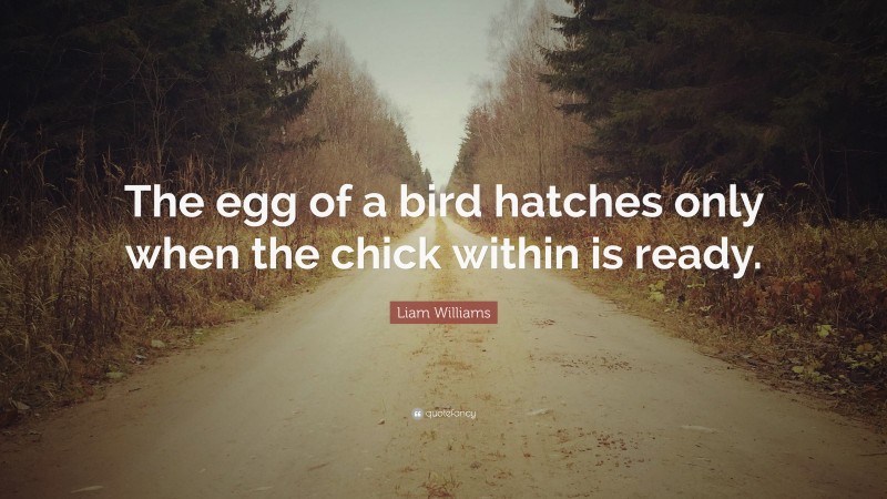 Liam Williams Quote: “The egg of a bird hatches only when the chick within is ready.”