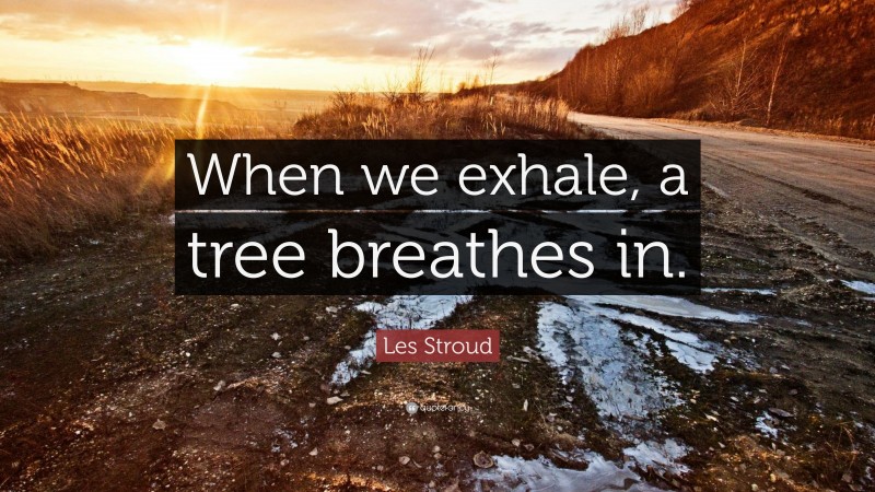Les Stroud Quote: “When we exhale, a tree breathes in.”