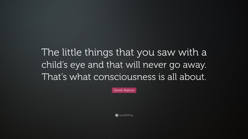 Derek Mahon Quote: “The little things that you saw with a child’s eye and that will never go away. That’s what consciousness is all about.”