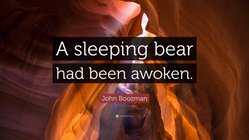 John Boozman Quote: “A sleeping bear had been awoken.”