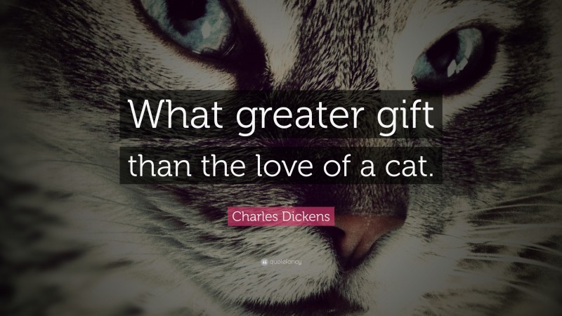 Charles Dickens Quote: “What greater gift than the love of a cat.”