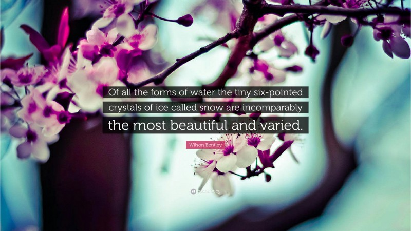 Wilson Bentley Quote: “Of all the forms of water the tiny six-pointed crystals of ice called snow are incomparably the most beautiful and varied.”