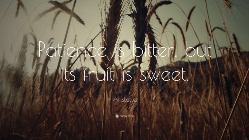 Aristotle Quote: “Patience is bitter, but its fruit is sweet.”