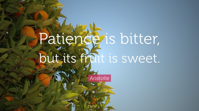 Aristotle Quote: “Patience is bitter, but its fruit is sweet.”