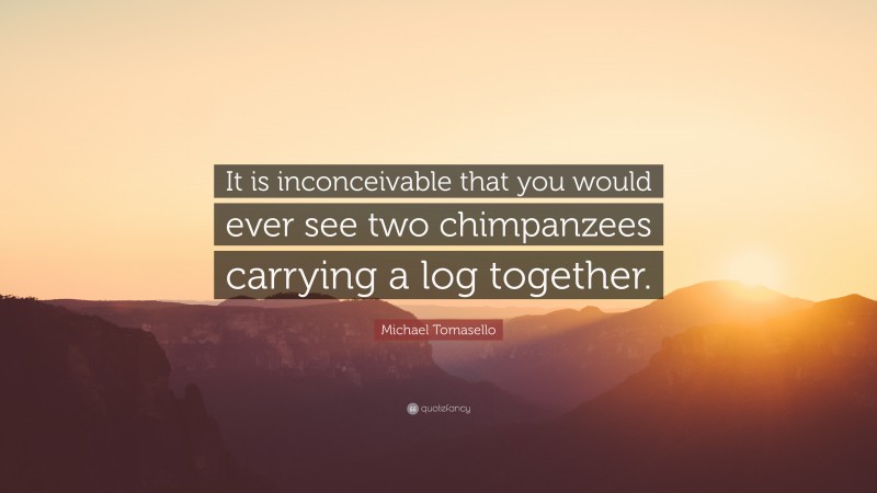 Michael Tomasello Quote: “It is inconceivable that you would ever see two chimpanzees carrying a log together.”