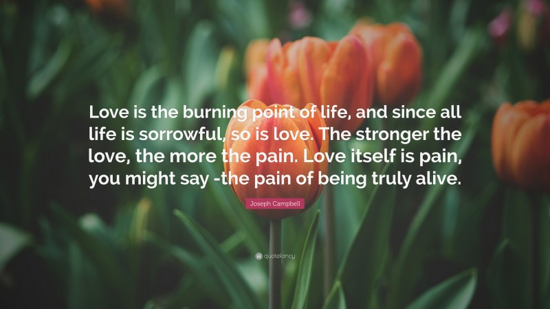 Joseph Campbell Quote: “Love is the burning point of life, and since all life is sorrowful, so is love. The stronger the love, the more the pain. Love itself is pain, you might say -the pain of being truly alive.”