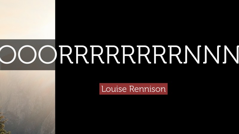 Louise Rennison Quote: “HOOOOOOOOORRRRRRRRNNNNNNNNN!!!!!!!!”