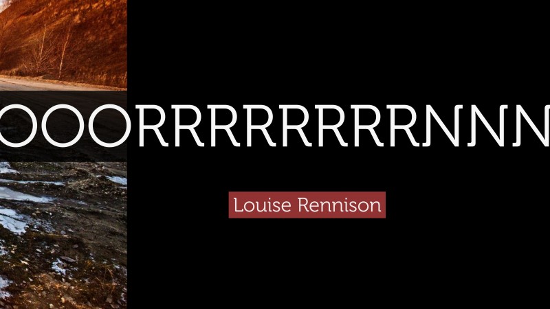 Louise Rennison Quote: “HOOOOOOOOORRRRRRRRNNNNNNNNN!!!!!!!!”