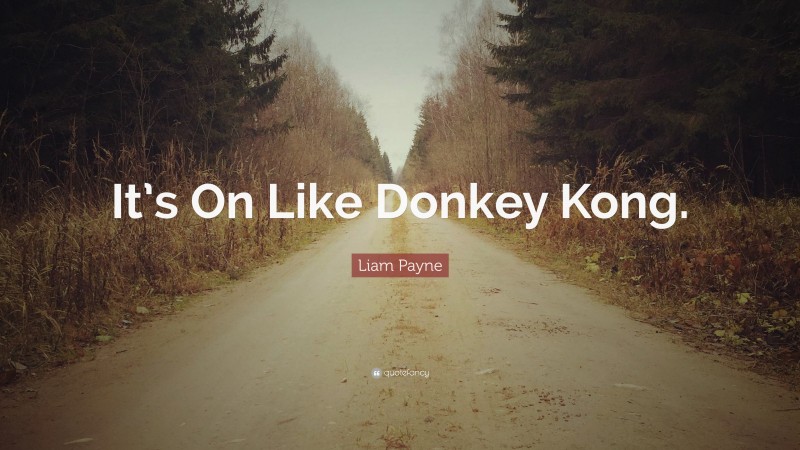 Liam Payne Quote: “It’s On Like Donkey Kong.”