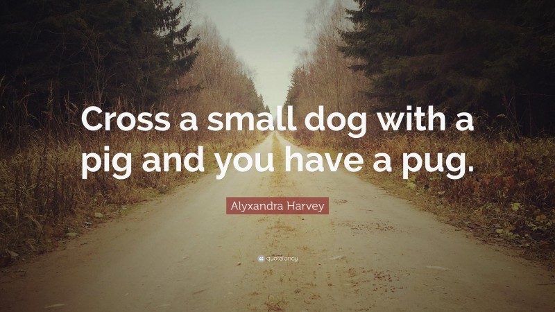 Alyxandra Harvey Quote: “Cross a small dog with a pig and you have a pug.”