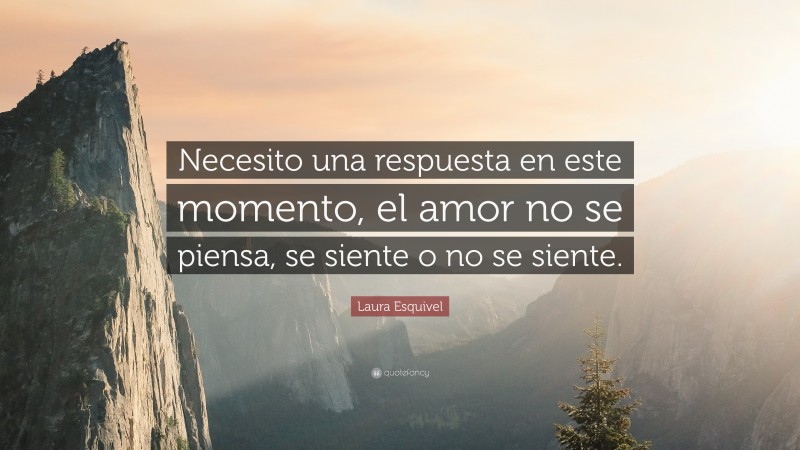 Laura Esquivel Quote: “Necesito una respuesta en este momento, el amor no se piensa, se siente o no se siente.”