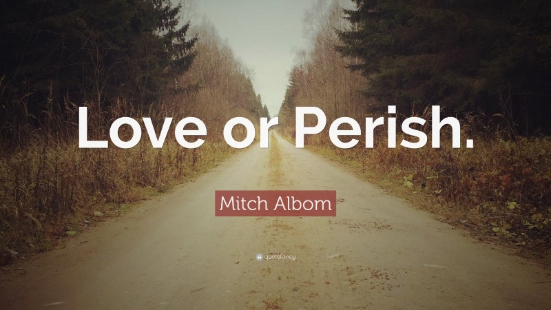 Mitch Albom Quote: “Love or Perish.”