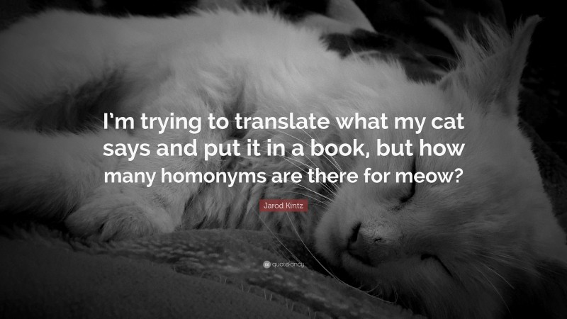 Jarod Kintz Quote: “I’m trying to translate what my cat says and put it in a book, but how many homonyms are there for meow?”