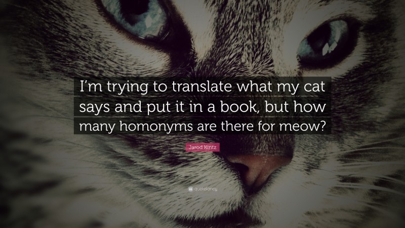 Jarod Kintz Quote: “I’m trying to translate what my cat says and put it in a book, but how many homonyms are there for meow?”
