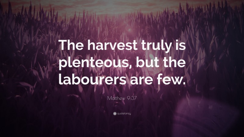 Matthew 9:37 Quote: “The harvest truly is plenteous, but the labourers are few.”