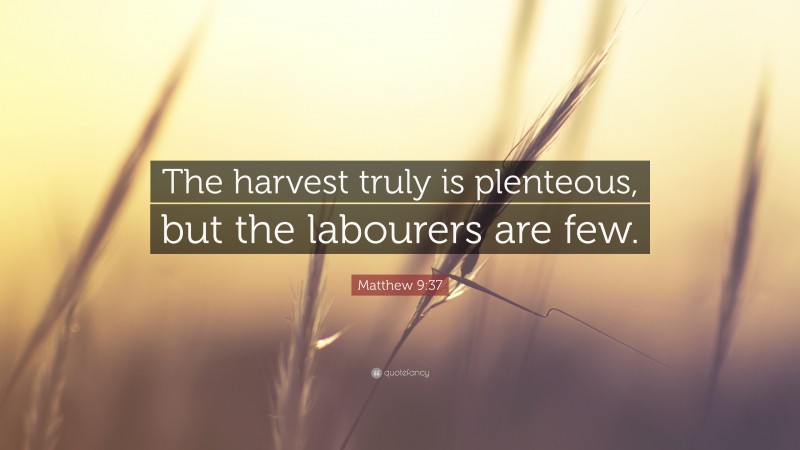 Matthew 9:37 Quote: “The harvest truly is plenteous, but the labourers are few.”