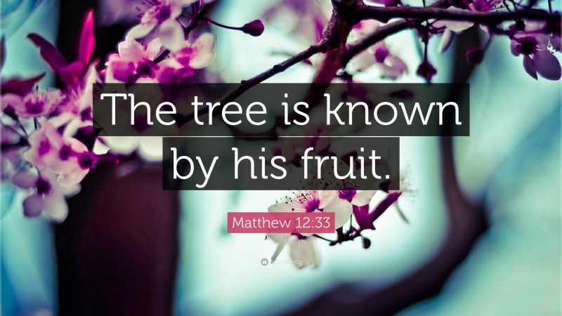 Matthew 12:33 Quote: “The tree is known by his fruit.”