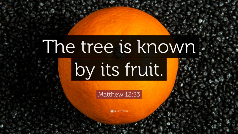 Matthew 12:33 Quote: “The tree is known by its fruit.”