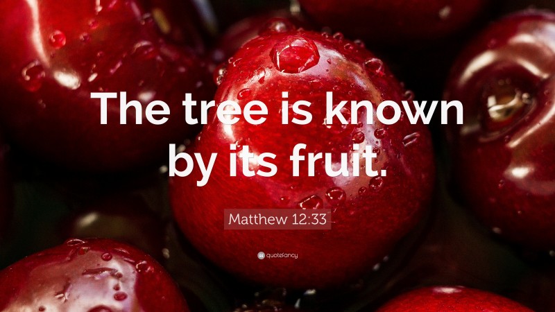 Matthew 12:33 Quote: “The tree is known by its fruit.”
