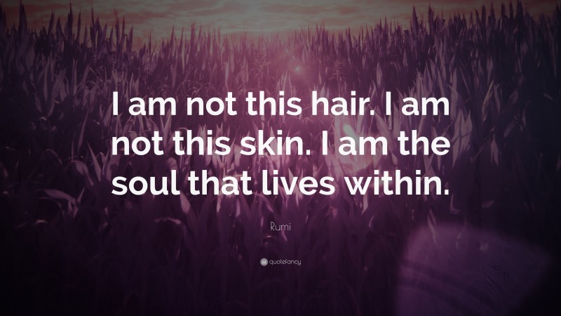 Rumi Quote: “I am not this hair. I am not this skin. I am the soul that lives within.”